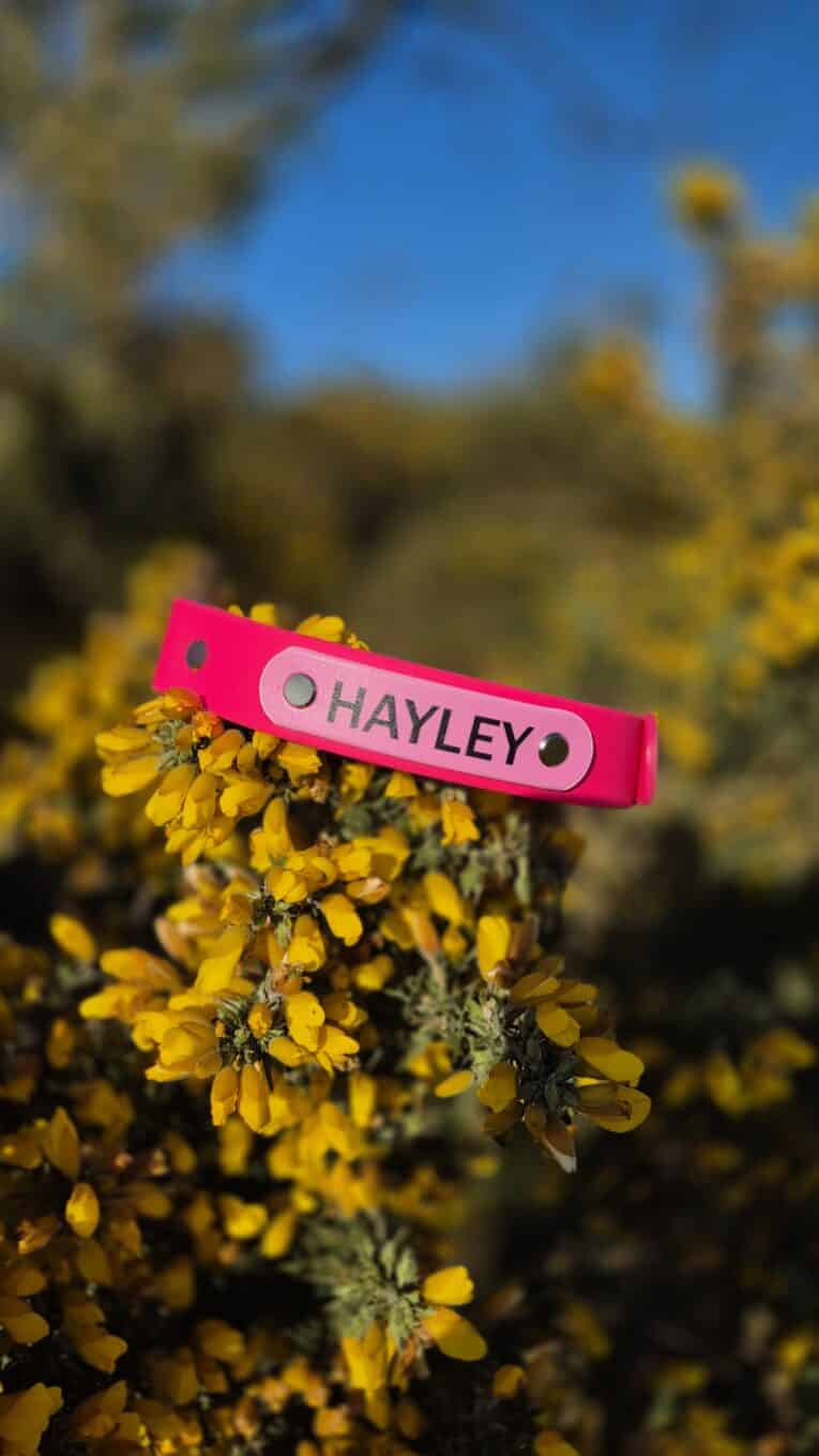 Bright pink handmade BioThane dog collar labelled 'HAYLEY' attached to yellow gorse flowers against a blue sky.
