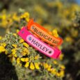 Handmade BioThane dog collars in vibrant pink and orange, personalised with names, resting on yellow desert flowers.