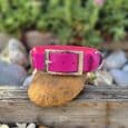 Vibrant pink BioThane martingale half-slip collar with brushed metal buckle, displayed on weathered wood with garden backdrop.