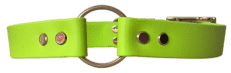 Tag & Gundog Collars