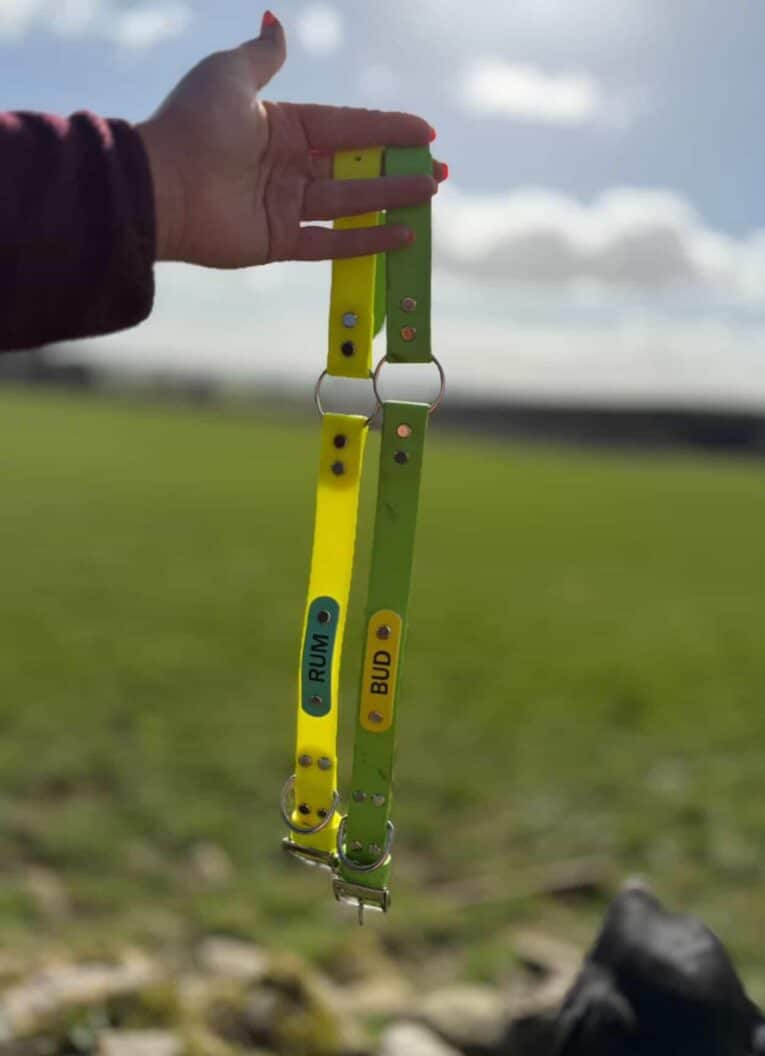 Hand holding a yellow and green Centre O-Ring Collar Gundog Collar, displaying the independent strap movement design outdoors.