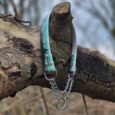Biothane martingale half-check collar in turquoise and white with stainless steel chain and hardware, displayed on rustic wood branch.