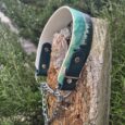 Martingale half-check collar with black BioThane straps and turquoise printed design, displayed on weathered wooden post amongst evergreen trees.