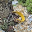 Yellow Biothane martingale half-check collar with chain detail displayed on spiky plant among garden stones.