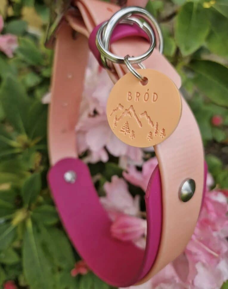 Custom double-layer BioThane hound collar in pink and natural, engraved with 'BRÓD' and mountain design, displayed outdoors.