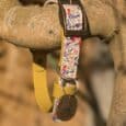 Floral printed BioThane martingale half-slip dog collar with yellow lead and bronze medal charm, draped over a wooden branch.