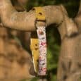 Mustard BioThane martingale half-slip collar with floral printed fabric centre section and metal hardware, displayed on a tree branch.