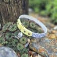 Lightweight ID tag collar in yellow and blue floral BioThane, displayed on succulents with silver O-ring hardware for secure tag positioning.