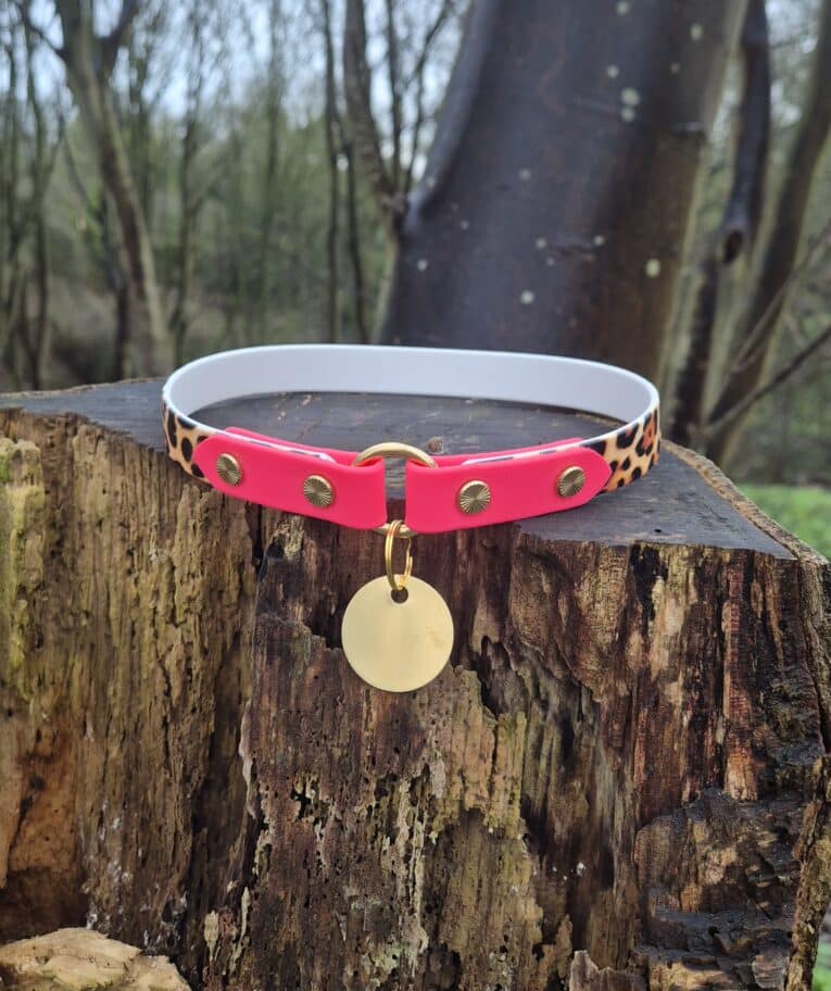 Bright pink tag collar with leopard print trim and brass hardware, featuring a forward-facing O-ring and circular ID tag, displayed on a weathered tree stump.