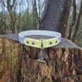 Lightweight ID tag collar in neon yellow and blue Biothane with nickel hardware and bone-shaped charm, displayed on a wooden post outdoors.