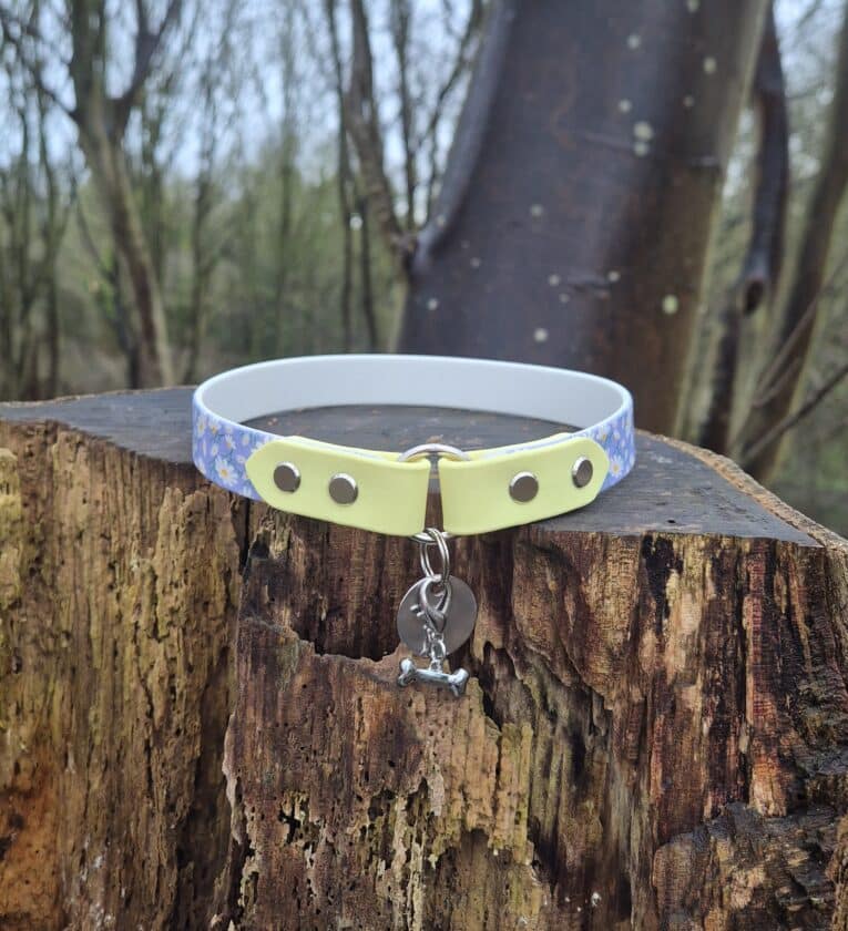 Lightweight ID tag collar in neon yellow and blue Biothane with nickel hardware and bone-shaped charm, displayed on a wooden post outdoors.