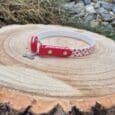 Red and white printed lightweight tag collar with forward-facing O-ring, displayed on natural wood surface outdoors.