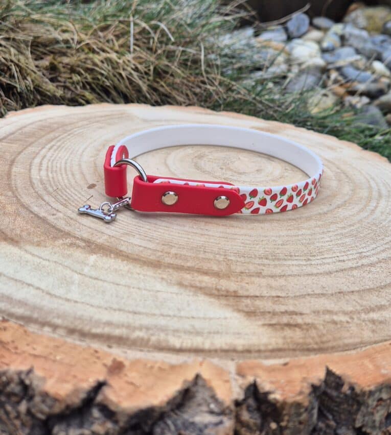 Red and white printed lightweight tag collar with forward-facing O-ring, displayed on natural wood surface outdoors.