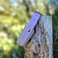 Lavender custom hound collar with stainless steel hardware, displayed on weathered wood against a garden backdrop.