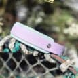 Pastel pink and mint double-layered BioThane hound collar with stainless steel hardware, displayed on a rustic garden fence with white flowers above.