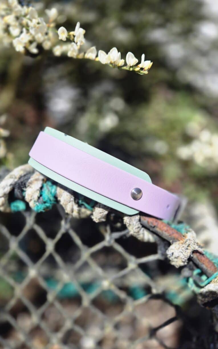 Pastel pink and mint double-layered BioThane hound collar with stainless steel hardware, displayed on a rustic garden fence with white flowers above.