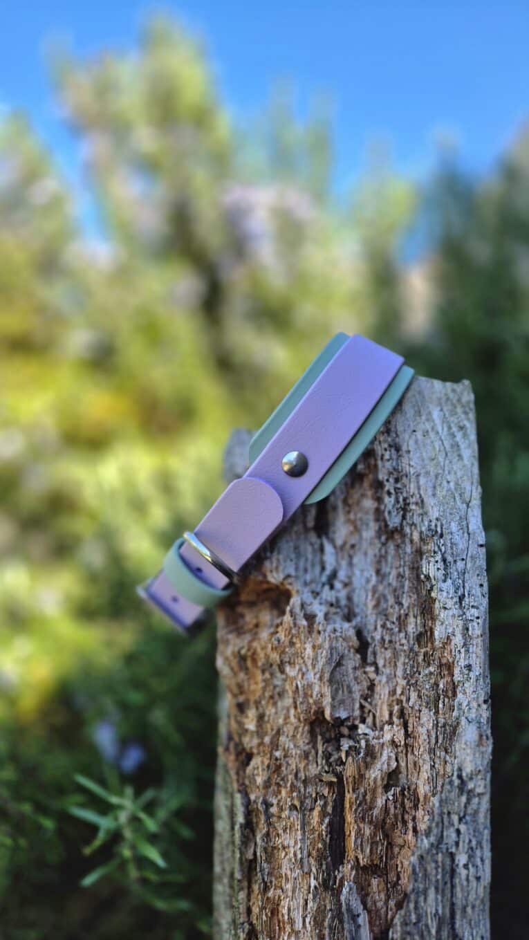 Purple and teal double-layered Hound Collar displayed on a weathered wooden post, showcasing the practical layered design and stainless steel hardware detail.
