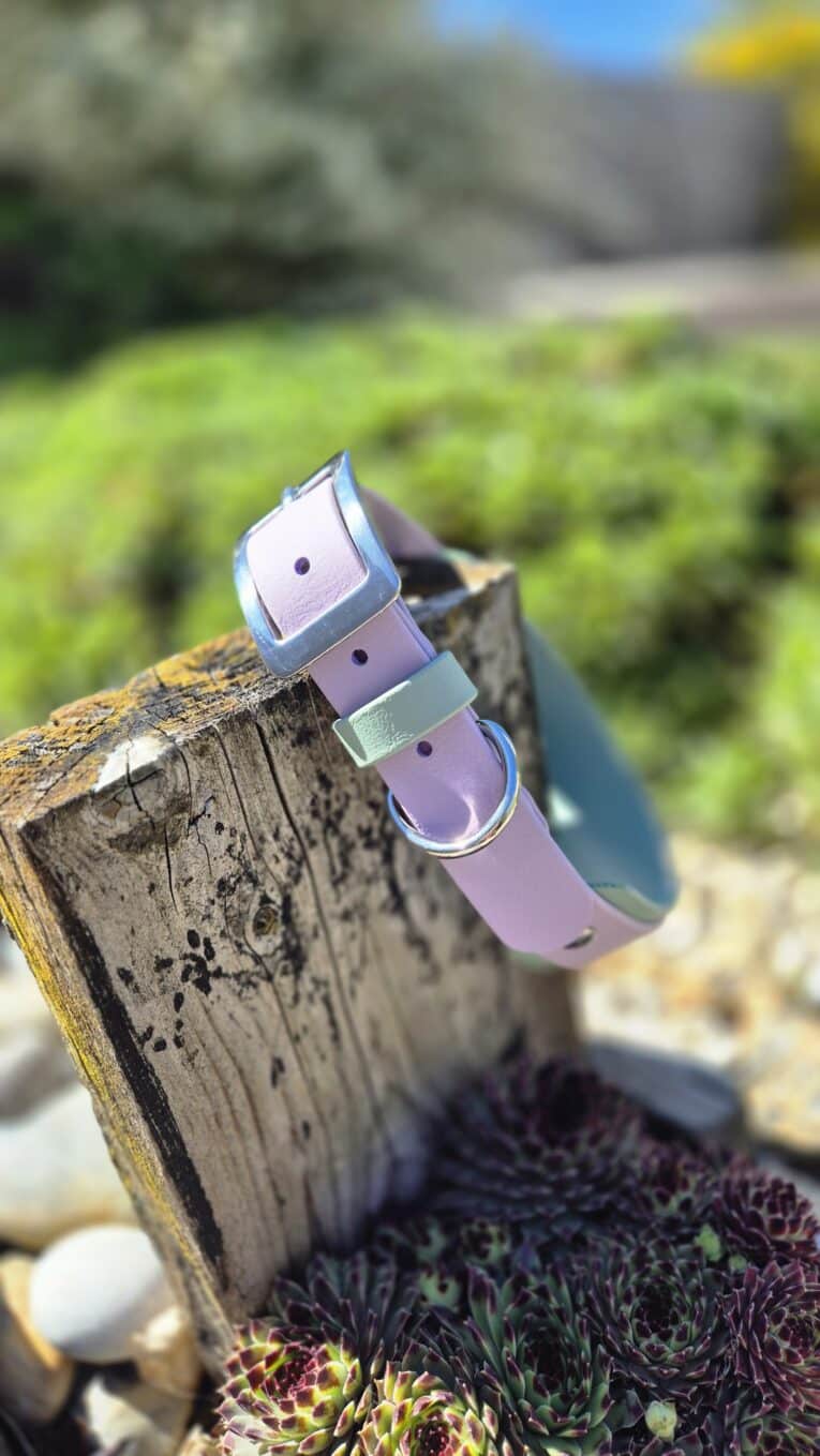Lavender and pale pink double-layered hound collar with stainless steel hardware, displayed on weathered wood outdoors.