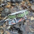 Two handmade BioThane dog collars displayed on a coastal rock, featuring vibrant green geometric and koi fish designs with chrome buckles.