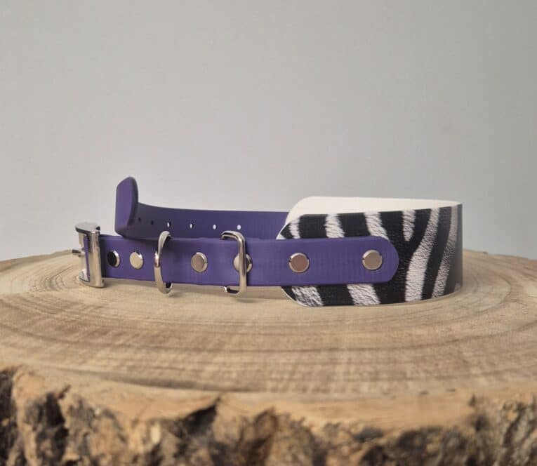 Purple Biothane dog collar with nickel hardware and zebra-striped printed panel, displayed on natural wood.