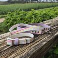 Printed Hound Collars in vibrant pastel check design with Biothane construction, displayed on weathered wood overlooking countryside fields.