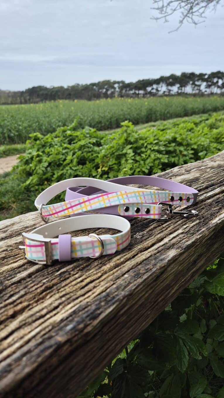 Printed Hound Collars in vibrant pastel check design with Biothane construction, displayed on weathered wood overlooking countryside fields.