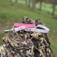 Printed Hound Collars displayed on a tree stump, featuring pink and floral designs in a natural woodland setting.