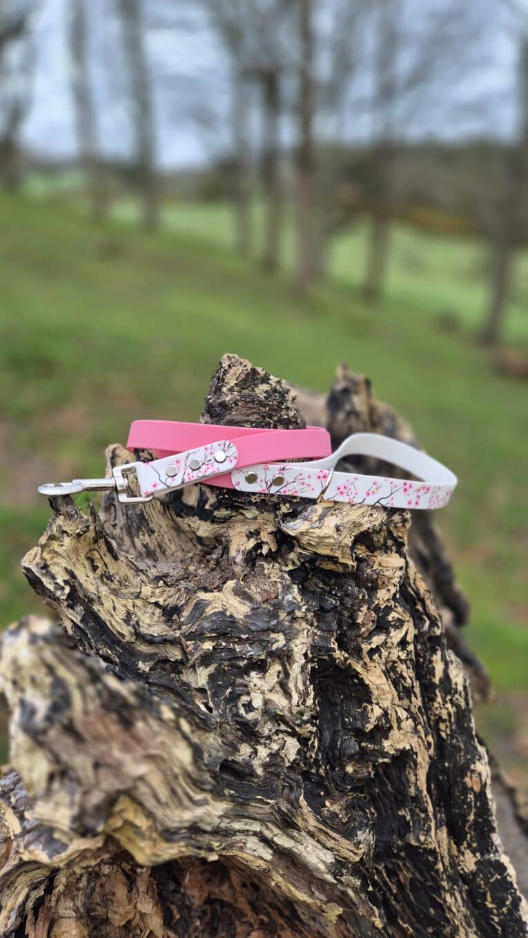 Printed Hound Collars displayed on a tree stump, featuring pink and floral designs in a natural woodland setting.