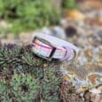 Handmade BioThane dog collar in pastel pink and white with colourful geometric pattern, displayed on succulent plant in garden setting.