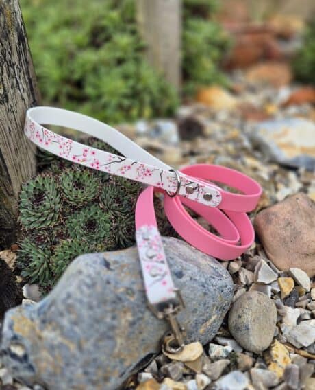 Pink waterproof BioThane dog collar with cherry blossom print design, displayed on rocks in a garden setting.