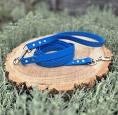 Bright blue waterproof Biothane dog collar and lead set with metal hardware, displayed on natural wood against foliage.