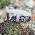 Colourful quick-snap customisable dog collar with paisley print design, featuring antique brass hardware and purple keeper strap on succulent plants.