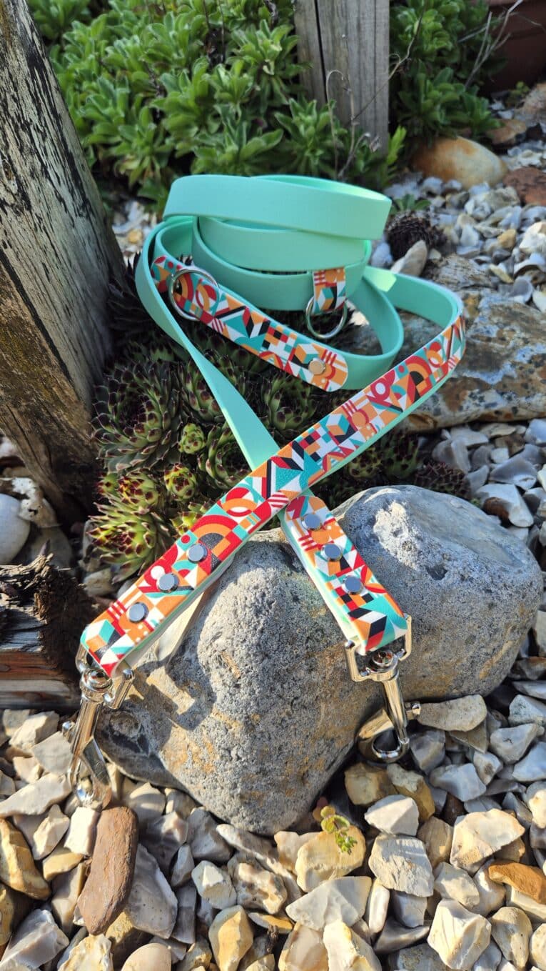 Turquoise double-ended training lead with vibrant printed accent webbing and antique brass clasps, displayed on a garden stone.