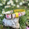 Floral-printed gundog collar with yellow centre O-ring and antique brass hardware, displayed on a stone in a garden setting.