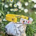 Yellow and floral-printed BioThane gundog collar with centre O-ring displayed on a stone amongst white daisies and grass.