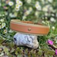 Beige and tan hound collar