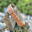 beige and tan hound collar