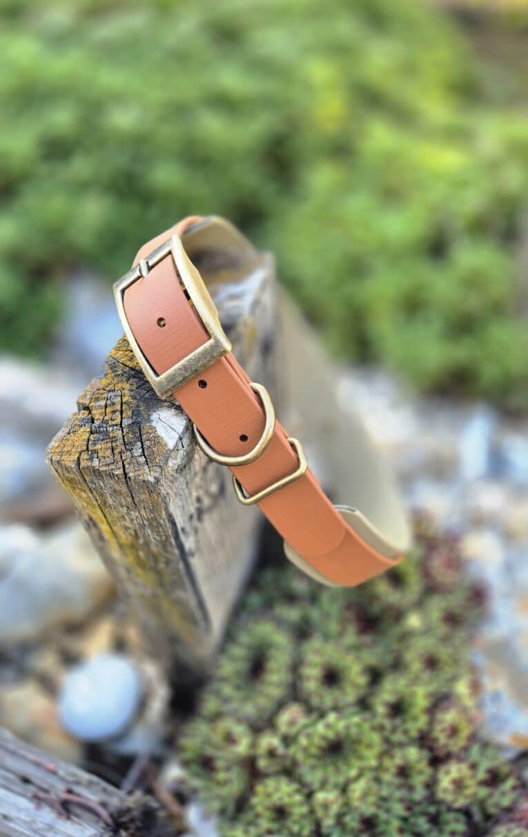 beige and tan hound collar