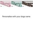 Five customisable printed dog collars in varied designs: cream, pink, green, brown and black, each personalised with dog names.