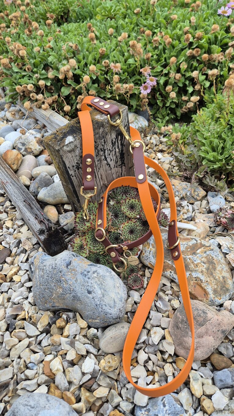 Handmade BioThane double-ended lead set in orange and brown with brass fittings, displayed on coastal pebbles.