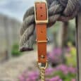 Adjustable tan BioThane dog collar with brass hardware and chain lead, displayed against natural garden backdrop.
