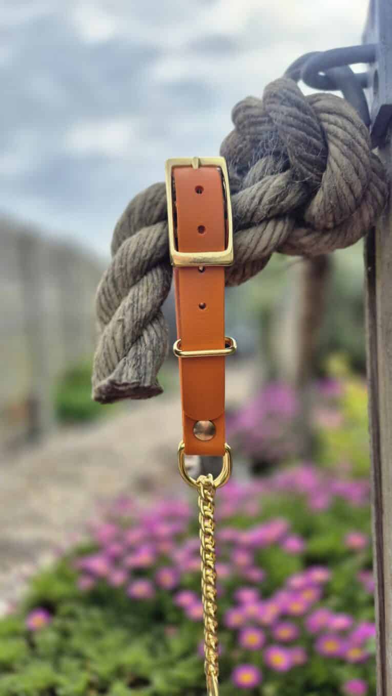Adjustable tan BioThane dog collar with brass hardware and chain lead, displayed against natural garden backdrop.