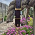Adjustable martingale half-check collar with brass hardware and rope detail in garden setting.