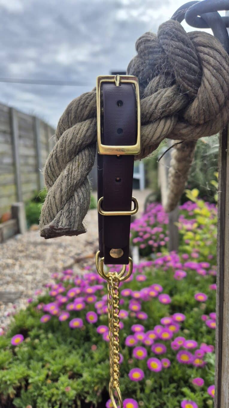 Adjustable martingale half-check collar with brass hardware and rope detail in garden setting.