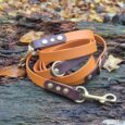 Amberwood handmade BioThane dog leads and collars in tan and deep purple with brass hardware, coiled on weathered wood.