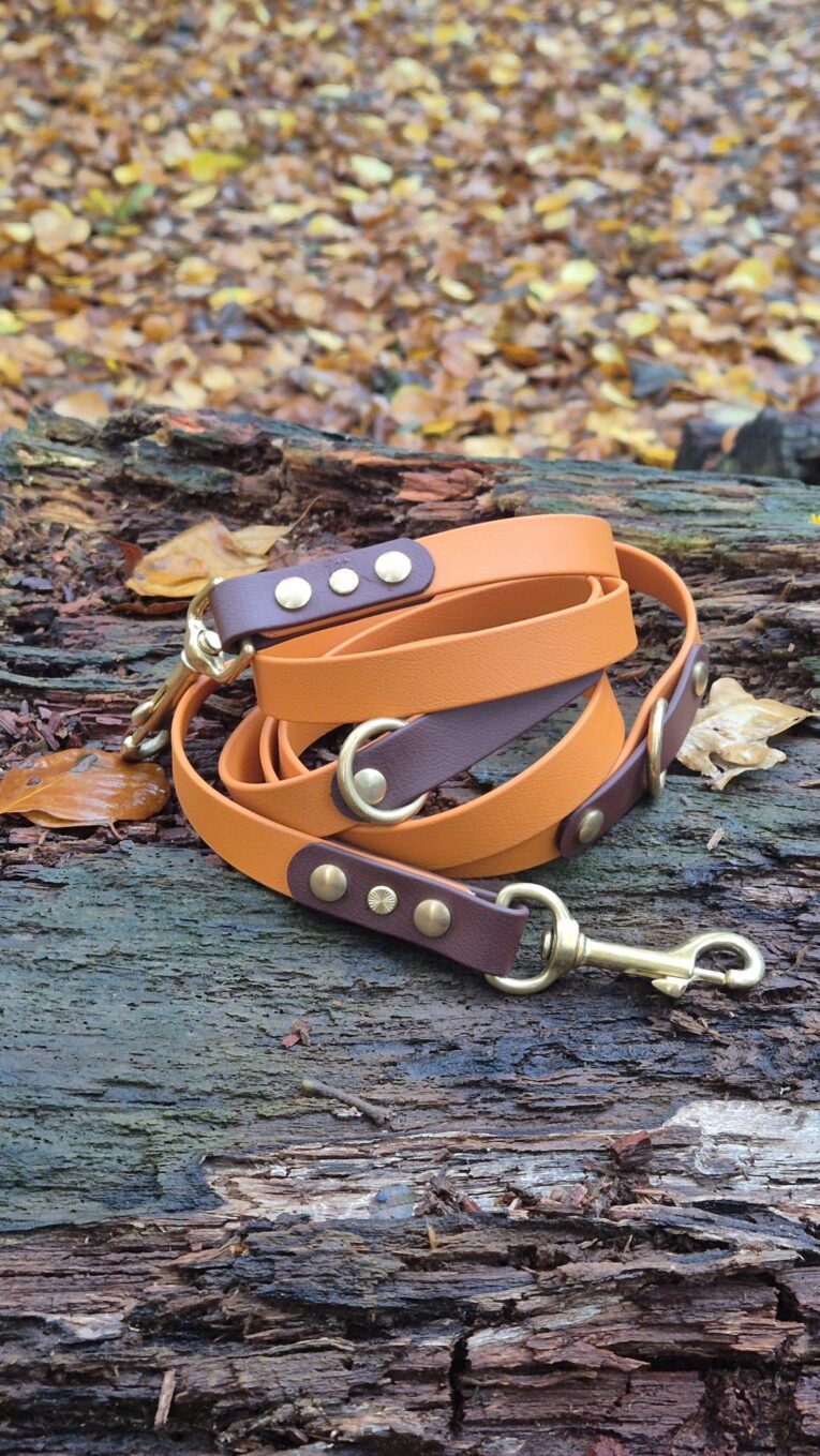 Amberwood handmade BioThane dog leads and collars in tan and deep purple with brass hardware, coiled on weathered wood.