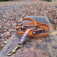 Amberwood multiway lead with brass hardware and dark BioThane handle, coiled on wooden surface in autumn woodland setting.
