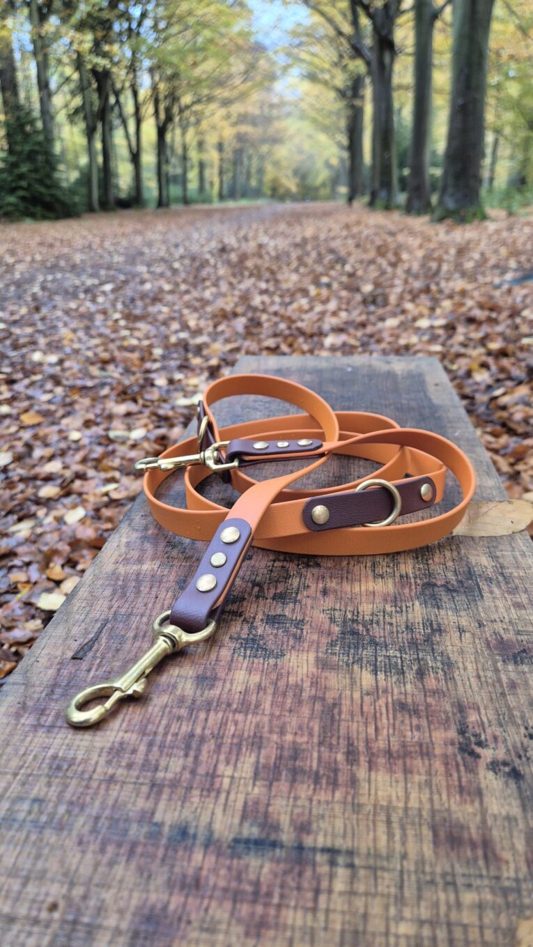 Amberwood multiway lead with brass hardware and dark BioThane handle, coiled on wooden surface in autumn woodland setting.