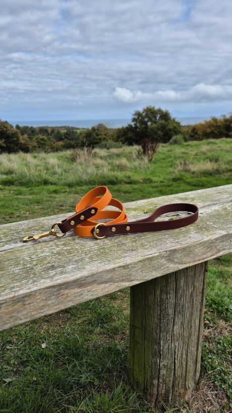 Amberwood 1.2m Lead