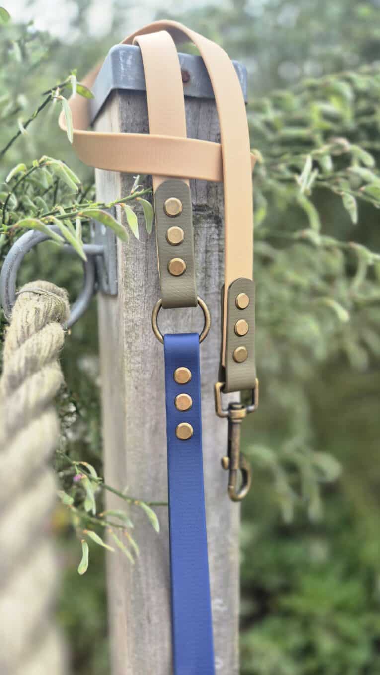 Handmade BioThane dog lead with cream handle straps and blue lead, featuring brass studs and hardware, displayed on weathered post.